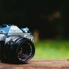Free photos for your web design projects