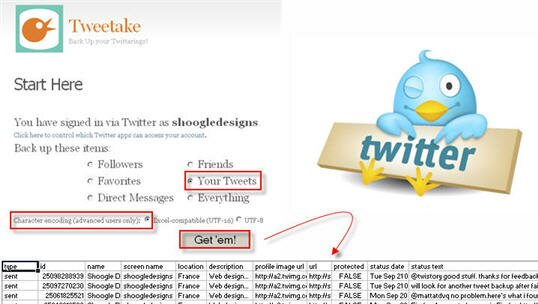 Use Tweetake to extract your tweets